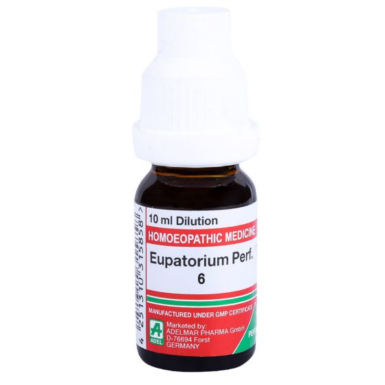 Eupatorium Perf