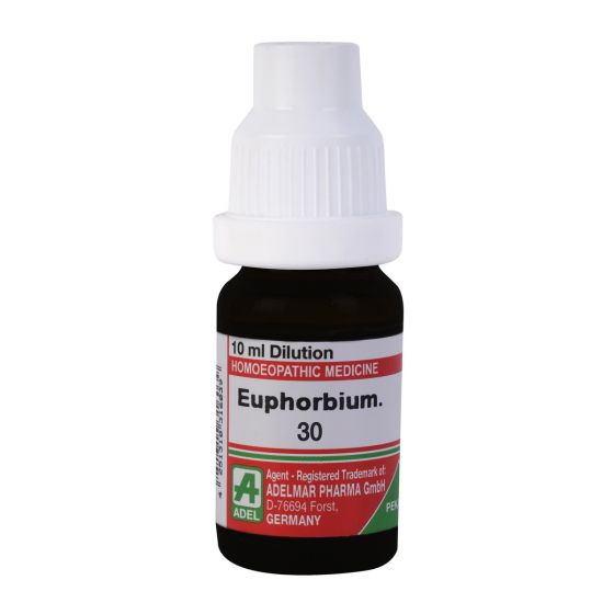 Euphorbium