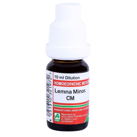 Lemna Minor