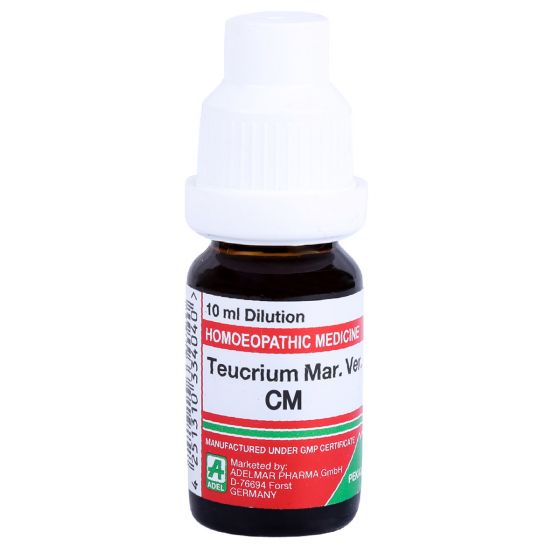 Teucrium MV