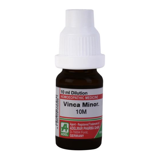 Vinca Minor