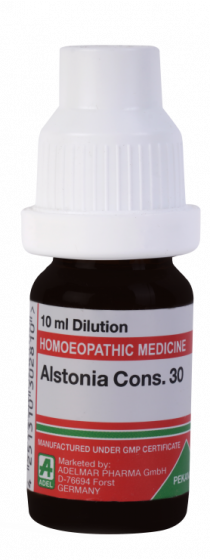 Alstonia C