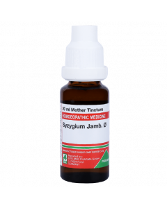 ADEL Syzygium Jamb Ø