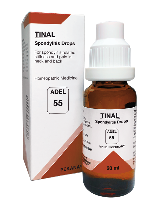 ADEL - 55 Spondylitis Drops